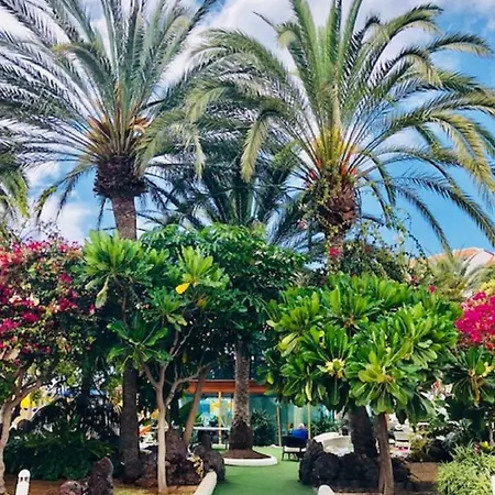Wonderland With The Best Swimming Pool In Park S Iii Playa de las Americas (Tenerife)